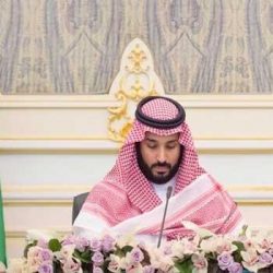 ولي العهد: لن يكون هناك ضريبة دخل إطلاقا.. والحد الأقصى لفرض ضريبة القيمة المضافة بنسبة 15% 5 سنوات