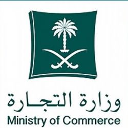 شرطة مكة المكرمة تلقي القبض على (7) مقيمين لارتكابهم جرائم سرقة سيارات وتفكيكها وبيعها