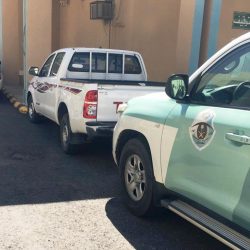 “الشؤون الإسلامية” تباشر توزيع هدية خادم الحرمين الشريفين من التمور الفاخرة في الأردن