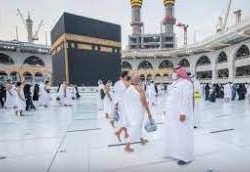 13 مركزاً للقاحات بجازان تستقبل كبار السن دون موعد مسبق