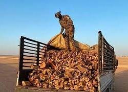 “آل الشيخ” يوجه بتطعيم منسوبي التعليم قبل بدء العام الدراسي المقبل