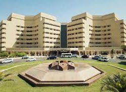 سمو أمير الجوف يستعرض سير العمل في مشروع دومة الجندل لطاقة الرياح