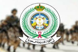 جوازات الجوف تواصل جولاتها الميدانية للتأكد من التزام المنشآت بالتوطين