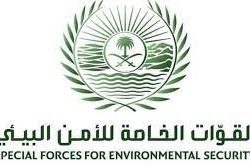 *توزيع 20 وجبة طازجة في افطار صائم بخيرية نجران*