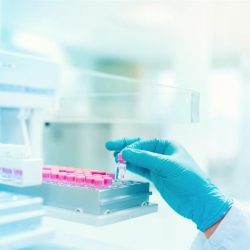 السفير الصيني يدعم مبادرة “السعودية الخضراء” بالمشاركة في حملة التشجير بحريملاء (صور)