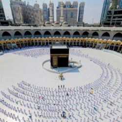الدكتور السبتي يشكر القيادة بمناسبة تعيينه مستشارًا بالأمانة العامة لمجلس الوزراء ورئيساً لمجلس إدارة هيئة تقويم التعليم والتدريب
