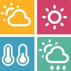 شرطة الرياض: ضبط جميع الأطراف ذات العلاقة بمقطع فيديو يظهر لشخصين وقائد دورية عند إحدى محطات الوقود