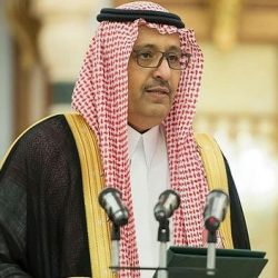 “حوامة عيد الارطاوية ” تشارك الأهالي واطفالهم فرحة العيد هذا العام