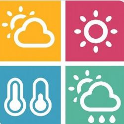 إعادة توزيع “الطيف الترددي” تقفز بالمملكة إلى قائمة أفضل 10 دول في سرعة “الإنترنت”