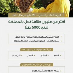 سمو أمير الحدود الشمالية يرأس اجتماع القيادة والتحكم بالمديرية العامة للشؤون الصحية بالمنطقة