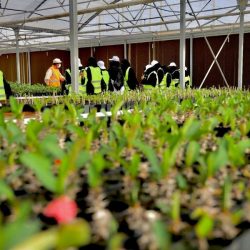 #الشؤون_الإسلامية تعيد افتتاح 16 مسجداً بعد تعقيمها في 5 مناطق