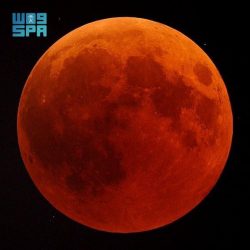 الديوان الملكي : وفاة صاحبة السمو الملكي الأميرة الجوهرة بنت محمد بن عبدالعزيز بن عبدالرحمن آل سعود