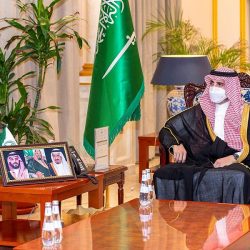 القوات الخاصة للأمن البيئي تضبط مخالفًا لنظام البيئة يقوم بنقل الرمال وتجريف التربة