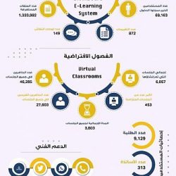 القوات الخاصة للأمن البيئي توقف (144) مخالفًا لنظام البيئة لارتكابهم مخالفات رعي