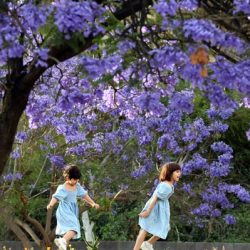 الشؤون الإسلامية تعيد افتتاح 9 مساجد بعد تعقيمها في 6 مناطق