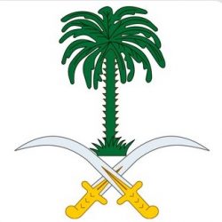 “المحكمة العليا” تُؤيِّد حُكم القتل تعزيرًا لـ”خاطفة الدمام” بعد إدانتها بالخطف والتبني المحرَّم