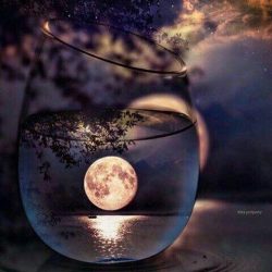 منح ميدالية الاستحقاق من الدرجة الثالثة لـ 60 مواطنًا لتبرعهم بالدم عشر مرات