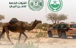 جمعية البر الخيرية بالمشعلية تنفذ 14 مشروعا لمستفيديها خلال الشهر الفضيل وعيد الفطر المبارك