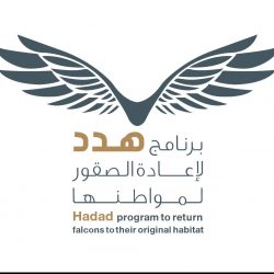 “الصحة”: تسجيل 14 وفاة و997 إصابة جديدة بفيروس “كورونا” وشفاء 1026 حالة