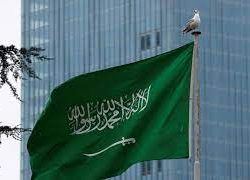 القوات الخاصة للأمن البيئي تضبط مخالفين لنظام البيئة لعرضهم حطبًا محليًا لأغراض تجارية