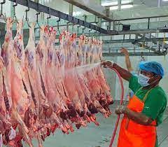 أمانة الجوف تواصل تنفيذ برامج مبادرة ممتثل