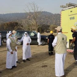 إمارة عسير: حريق منتزه الجرّة لا يشكل خطرا وأعمال المكافحة مستمرة من قبل فرق الدفاع المدني