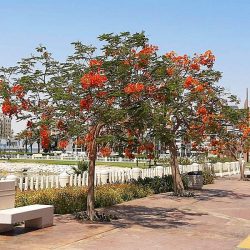 مركز الملك عبدالعزيز للحوار الوطني ينظم لقاء تعريفياً بـ ” جائزة الحوار الوطني “