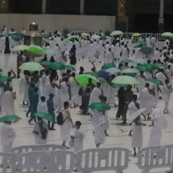مشروع التدريب المهني يواصل تقديم خدماته للشباب اليمني بدعم سخي من مركز الملك سلمان للإغاثة