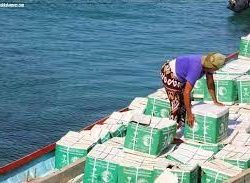 مركز الملك سلمان للإغاثة يسلم مساعدات طبية متنوعة لمستشفى رابعة بلخي في أفغانستان