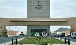 ارتفاع حاويات المسافنة في موانئ السعودية بنسبة بلغت 14% خلال مايو