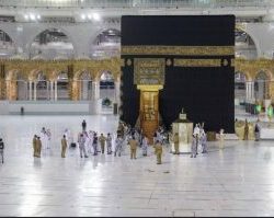 وزير التجارة يعلن موافقة المقام الكريم على تمديد العمل بلائحة تصحيح أوضاع مخالفي نظام مكافحة التستر لمدة 6 أشهر إضافية