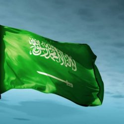العسل والألعاب الترفيهية وفرق الفنون الشعبية تجذب زوار مهرجان العسل الدولي الـ 13 بالباحة