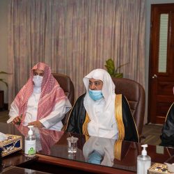 وجهة سياحية في “صيف السعودية” .. وادي الديسة يأسر زوار تبوك بتضاريسه ومغامراته