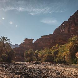 بالصور ..وكيل وزارة الشؤون الإسلامية يقف على الترتيبات لافتتاح جامع الملك سلمان بالمالديف ويتفقد جاهزيته واحتياجاته