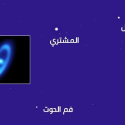 أبناء أسرة الغافلي بالأحساء يشكرون المعزين في وفاة شقيقهم