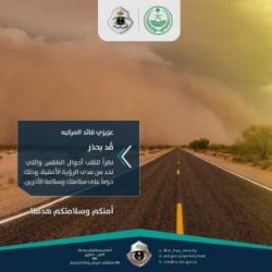 سمو امير منطقة الباحة يرأس اجتماع مناقشة خطة معالجة التشوه البصري وتحسين المداخل