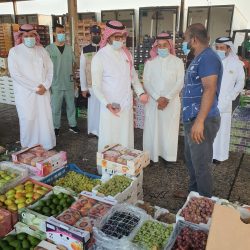 انطلاق أول برنامج عربي لنقل خبرات المحاماة الأجنبية