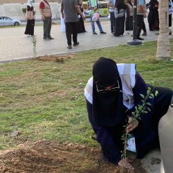 بدء أعمال العد التجريبي لسكان المملكة