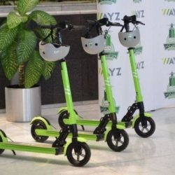 أمانة الجوف تواصل استعداداتها لليوم الوطني91 بـ 6 آلاف علم وإضاءة خضراء