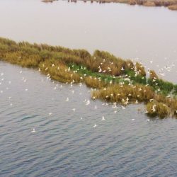 بالصور.. وزير الداخلية يصل الدوحة في زيارة رسمية لقطر