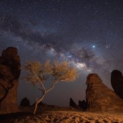 اختتام مسابقة سمو وزير الرياضة المركزية للقرآن الكريم والحديث الشريف في المدينة المنورة