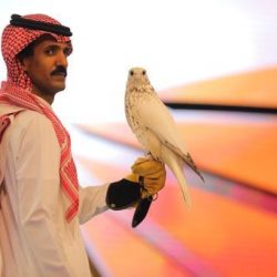  ‫تعليم تبوك‬⁩ يدعو الطلاب والطالبات للتسجيل في الأولمبياد الوطني للإبداع العلمي 2022م