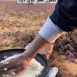 أكثر من 5 آلاف زائر بمعرض “وأنتم بركة الدار”