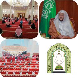 الهيئة العامة للعقار تضبط 4363 إعلانًا مخالفًا وتسجل 14881 مستفيداً في خدمات عقاري