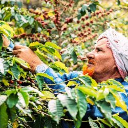 شرطة جازان تقبض على مقيمين أنتحلا صفة موظف حكومي ..