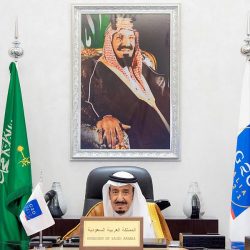 ضبط 15806 مخالفين لأنظمة الإقامة والحدود خلال أسبوع