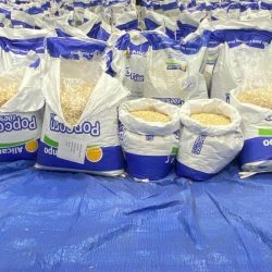 بيع أغلى صقر في النسخة الثانية لمزاد نادي الصقور السعودي