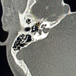 أكثر 370 حالة إنقاذ حياة في الأحساء منذ بداية العام