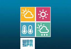 الصحف السعودية