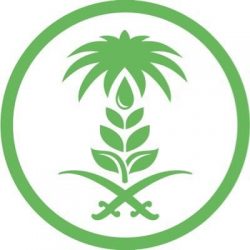 الزكاة والضريبة والجمارك في ميناء جدة الإسلامي تُحبط محاولة تهريب أكثر من 3 آلاف زجاجة من الخمور